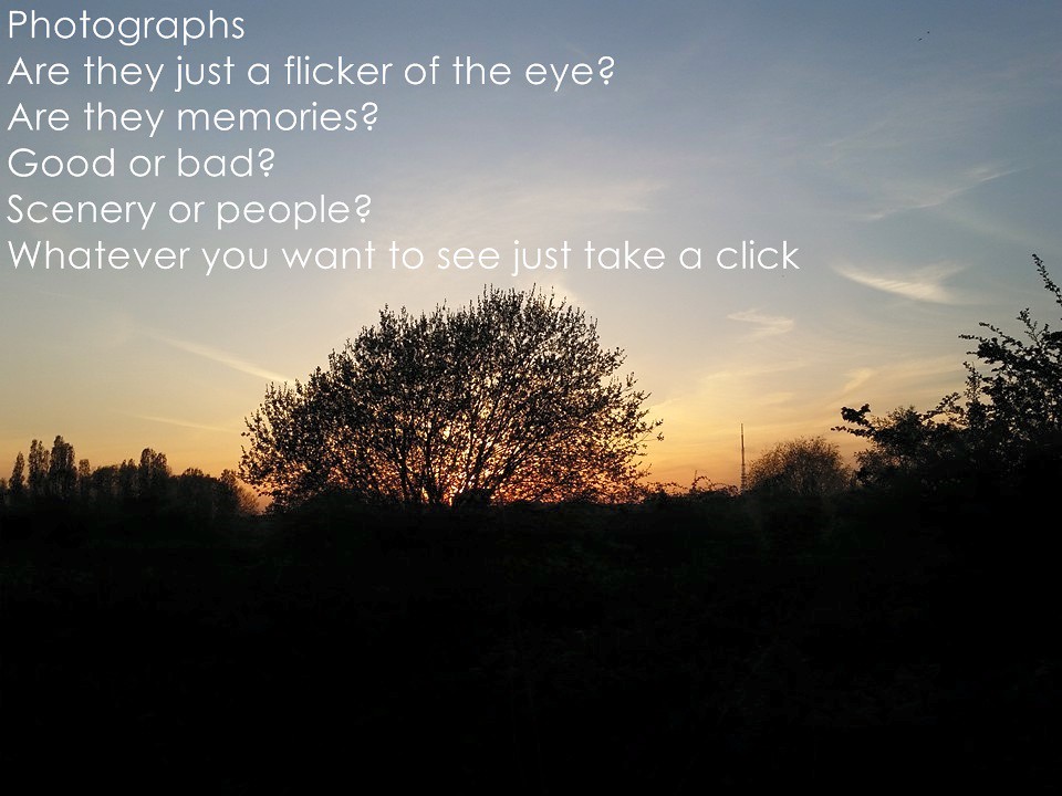 Laugh, Learn, and Connect with QuotePoem 24