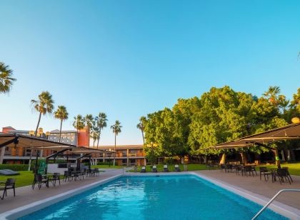 kitty cash online slot