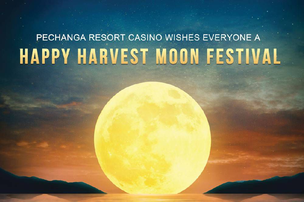 no deposit bonus king billy