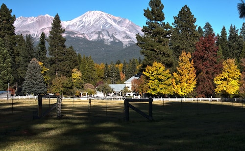 top 3 online blackjack casino