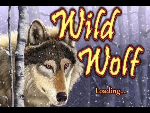 beach life casino en línea