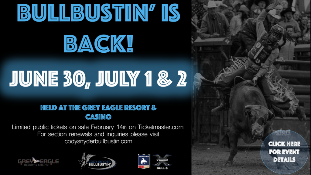 no deposit bonus bob casino