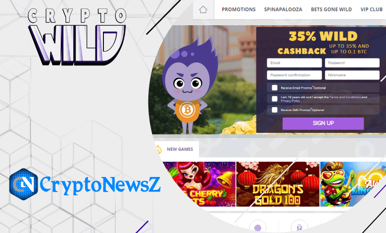 schnelle Auszahlung Casinos