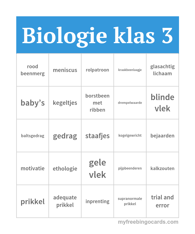 ranura double bubble