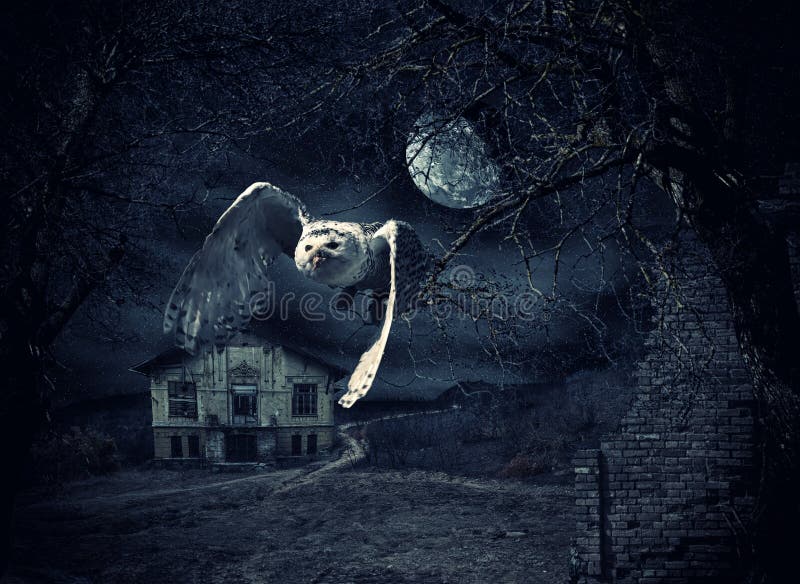 Pharaos Riches Apk Casino Spiel