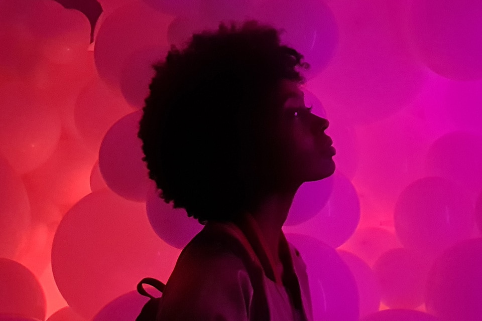 Book of Ra Dice ranura giros gratis