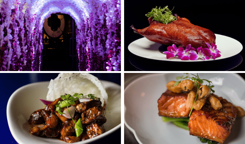 no deposit bonus casino brango