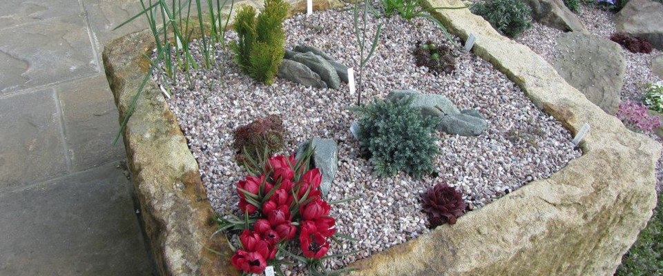 3d tragamonedas casino en línea