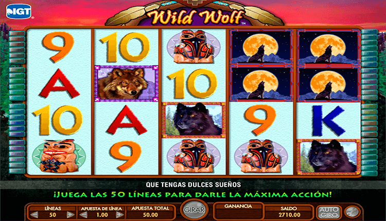 12 Animals ranura juego de revisión