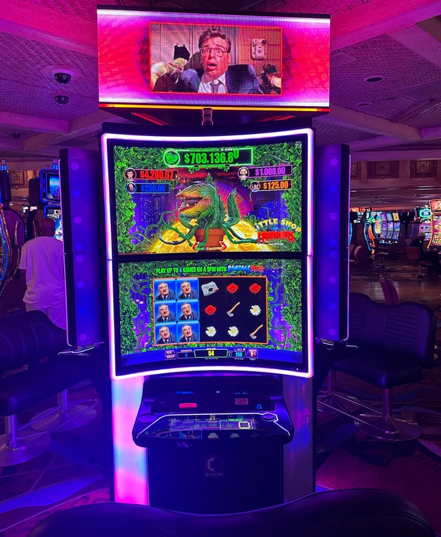 top 5 best online casino